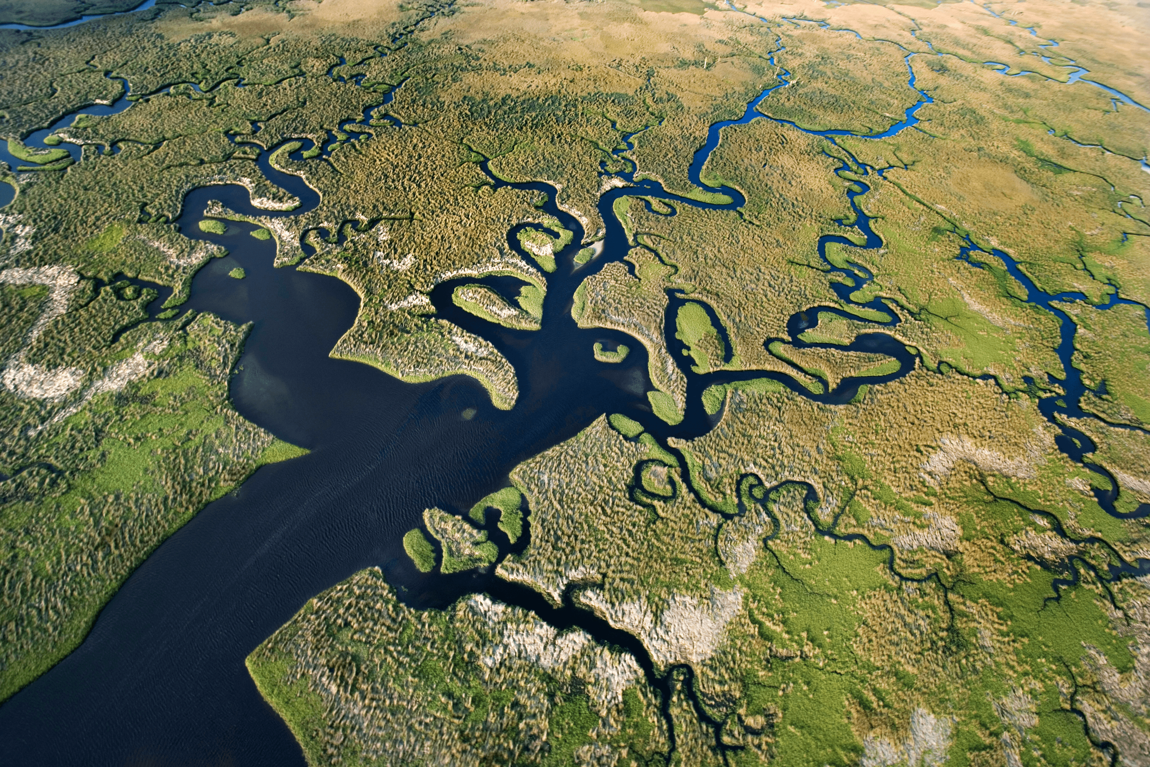 Aerial view of a river delta — a metaphor for the complexity and flow of the energy transition